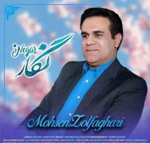 محسن ذوالفقاری نگار